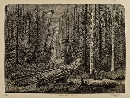 CARLOS ALVARADO LANG