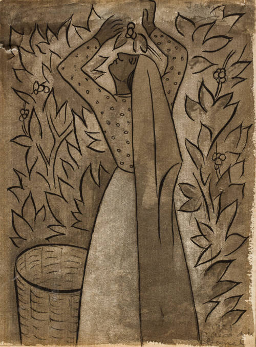 Cosechadoras de café