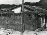 Choza con cerca de vara y montañas. Impresión de negativo donado por Vittorio Vidali. Fototeca INAH