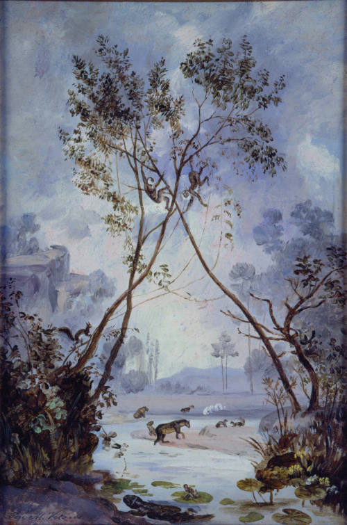 Flora y fauna del periodo Cenozoico Mioceno. Evolución de la vida continental en el globo terrestre. Estudio geológico.