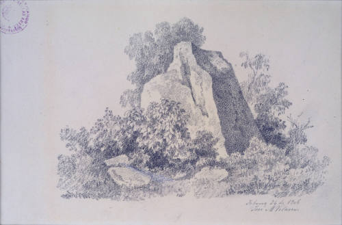 Follaje y cerros, 24 de febrero de 1906