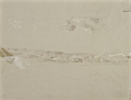 Estudio de follaje y cerros