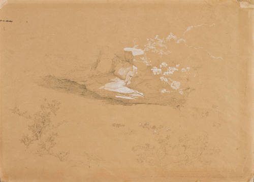 Orilla del río con árboles