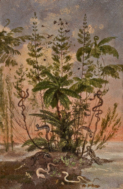 Flora y fauna del periodo Paleozoico Carbonífero. Evolución de la vida continental en el globo terrestre. Estudio geológico antidiluviano.