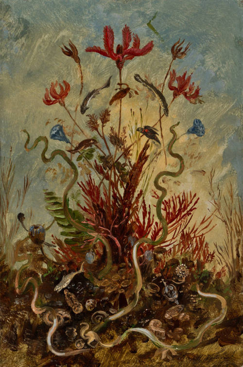 Flora y fauna marina del periodo Paleozoico, Siluriano y Devónico. Evolución de la vida marina en el globo terrestre. Estudio geológico.