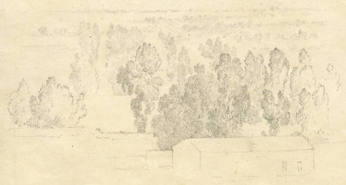 Estudio de árboles, octubre de 1903