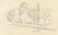 Estudio de árboles, agosto de 1903