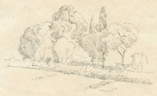 Estudio de árboles, agosto de 1903