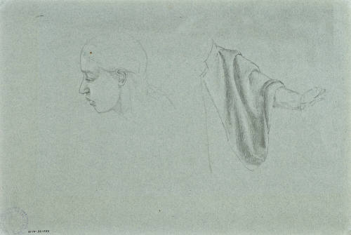 Estudio de cabeza y manos