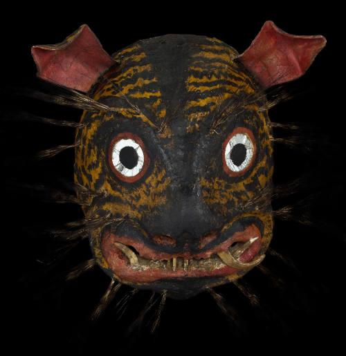 Máscara de tigre