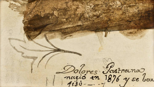 Sin título (Hoja y tronco)