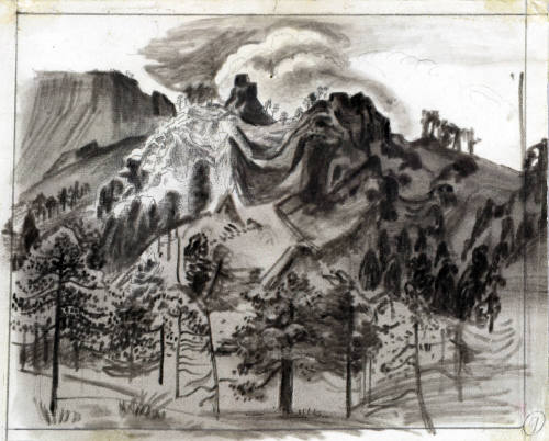 El bosque en la alta