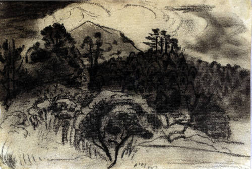 El bosque y el volcán