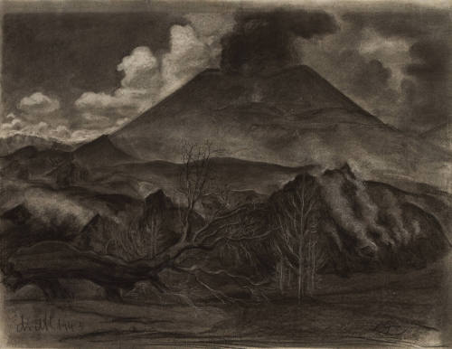 El tronco caído y el volcán