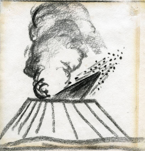 Erupción paricutínea