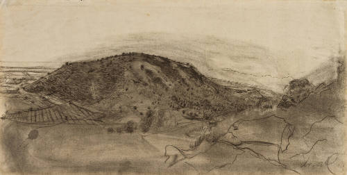 Estudio para el paisaje Mañana luminosa