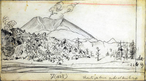 Frente de lava avanzando por un terreno arbolado