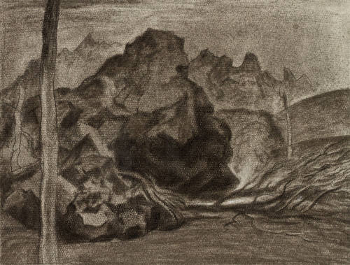 Lava sobre la vegetación