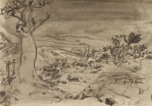 Troncos y nopales (Reverso apunte)