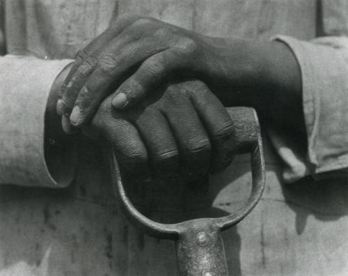 Manos de campesino con pala. Impresión de negativo original del Comitato Tina Modotti. Trieste, Italia.