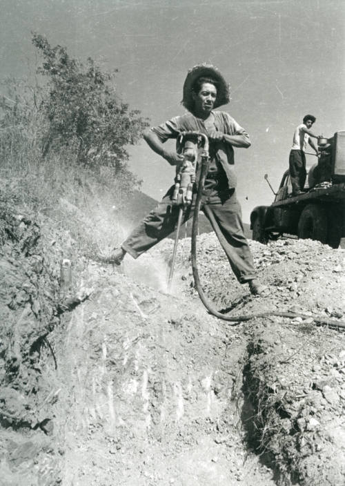 Barrenador, México, D.F.