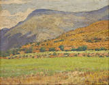 Paisaje