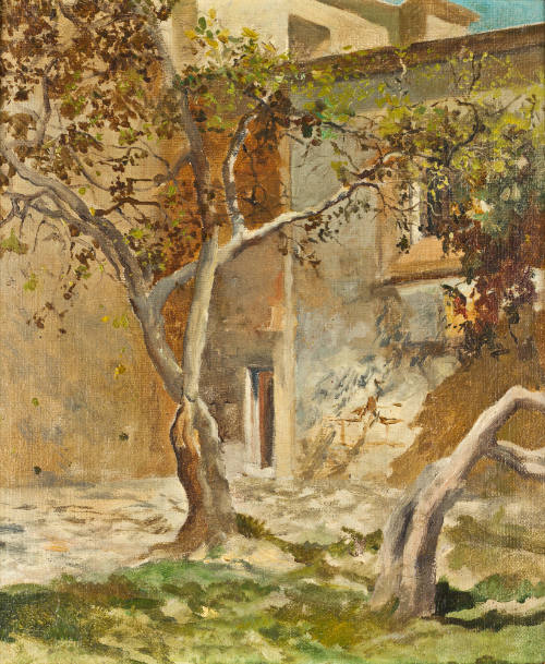 Sin título (Árboles y patio)