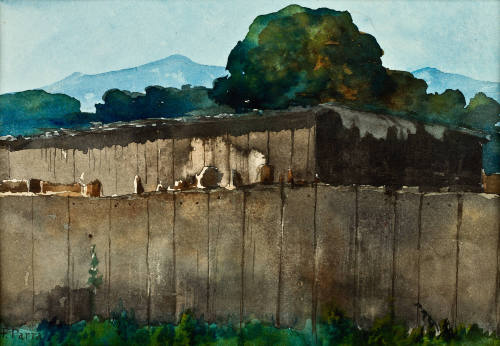 Sin título (Barda y árbol)