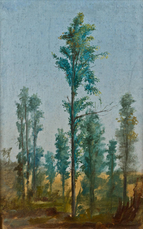 Sin título (Bosque)