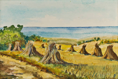 Sin título (Campo de cultivo)