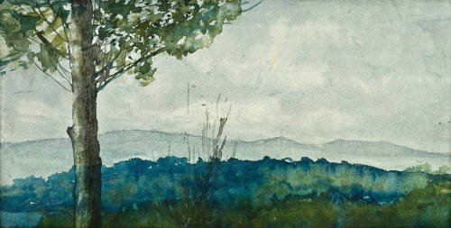 Sin título (Paisaje-árbol)