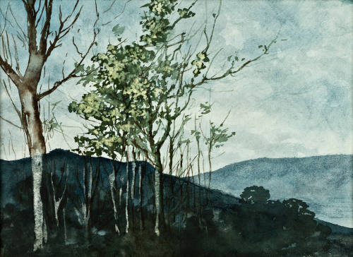 Sin título (Paisaje-árboles)