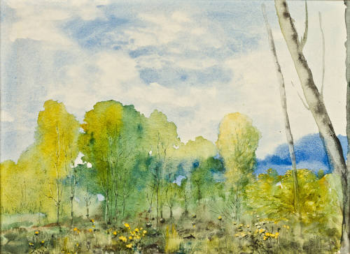 Sin título (Paisaje-árboles)