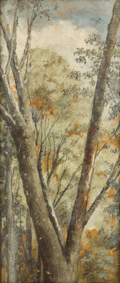 Sin título (Paisaje-Bosque)