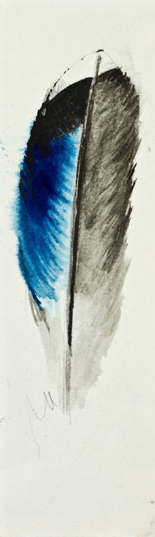 Sin título (Pluma de ave en color azul y gris)