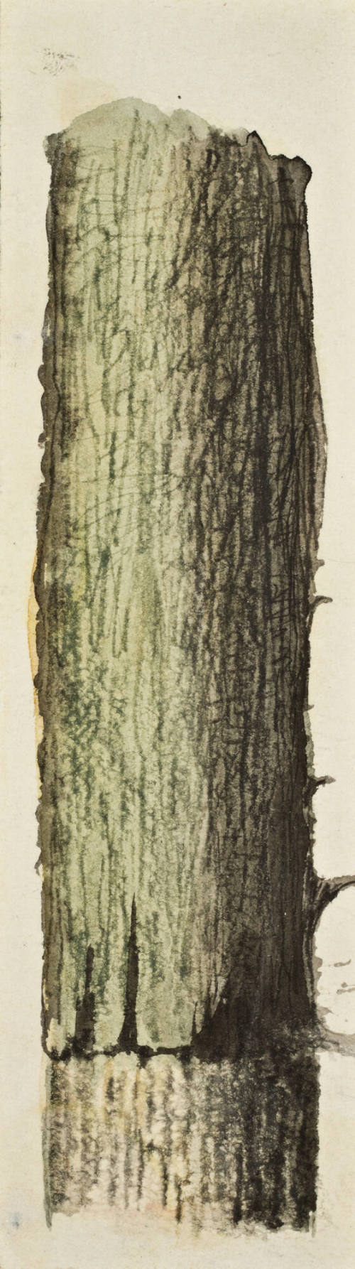 Sin título (Tronco de árbol)