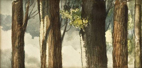 Sin título (Troncos-árboles)