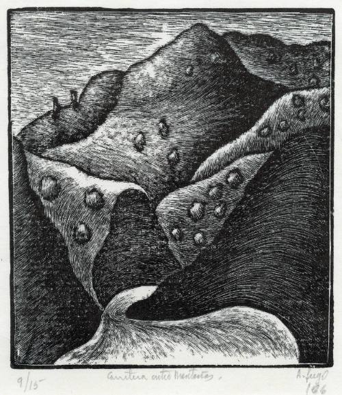 Carretera entre montañas