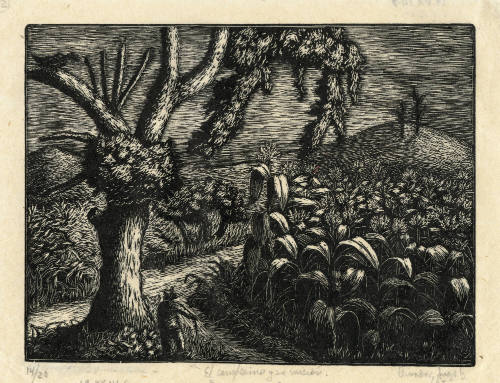 El campesino y su misión