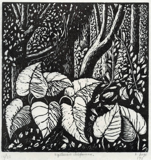 Vegetación chiapaneca