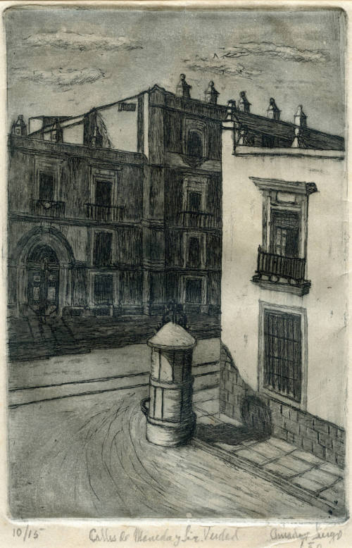 Calles de Moneda y Lic. Verdad