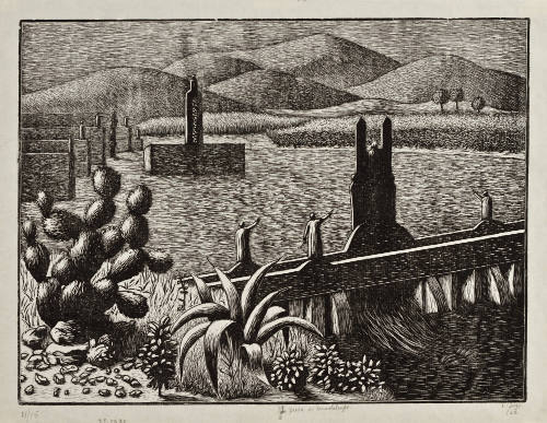 La presa de Guadalupe