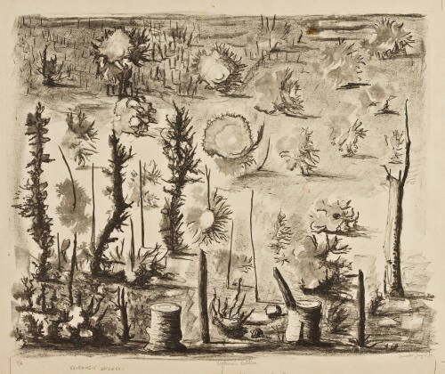 Vegetación desértica