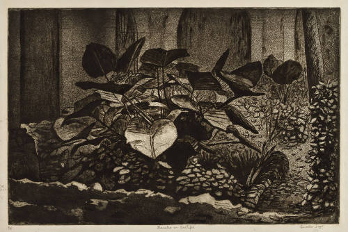 Claustro de Oaxtepec