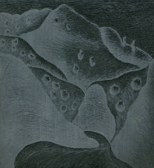 Obra criminal (anverso). Cautan entre montañas (reverso)