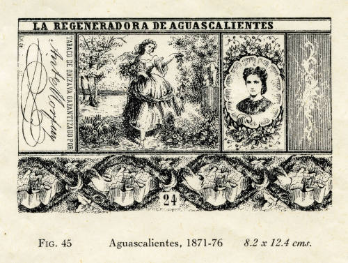 La regeneradora de Aguascalientes