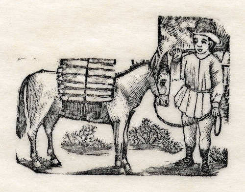 Niño con burro