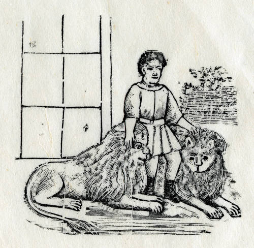 Niño con leones
