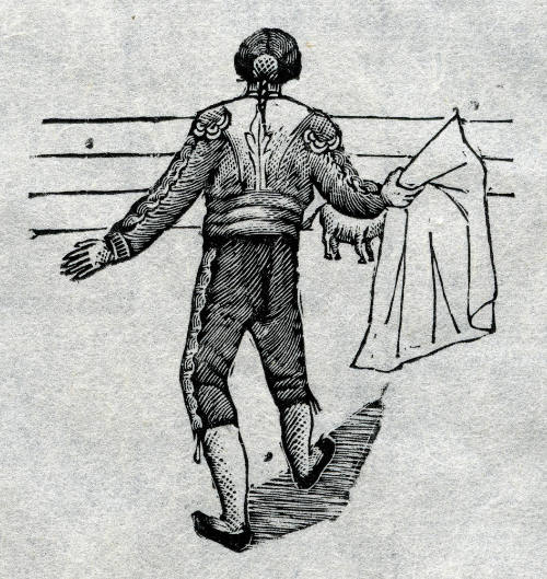 Matador llamando al toro