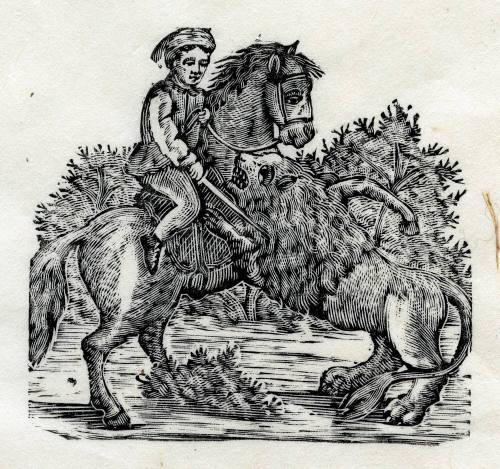 León atacando jinete